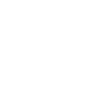 Republic of the Marshall Islands star